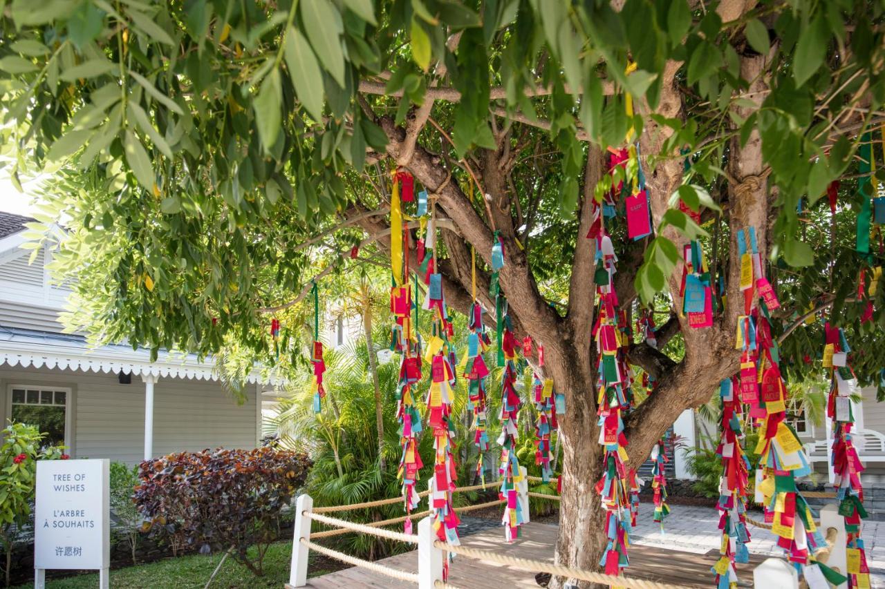 ลุกซ์ * แซ็ง จิล Hotel แซ็งต์-จีลส์-เลส์-แบ็งส์ ภายนอก รูปภาพ The Wishing Tree